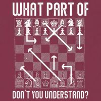 What Part Of Don't You Understand Funny Chess 16oz Travel Tumbler