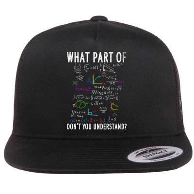 What Part Of Don't You Understand For Math Teacher Gift Flatbill Hat