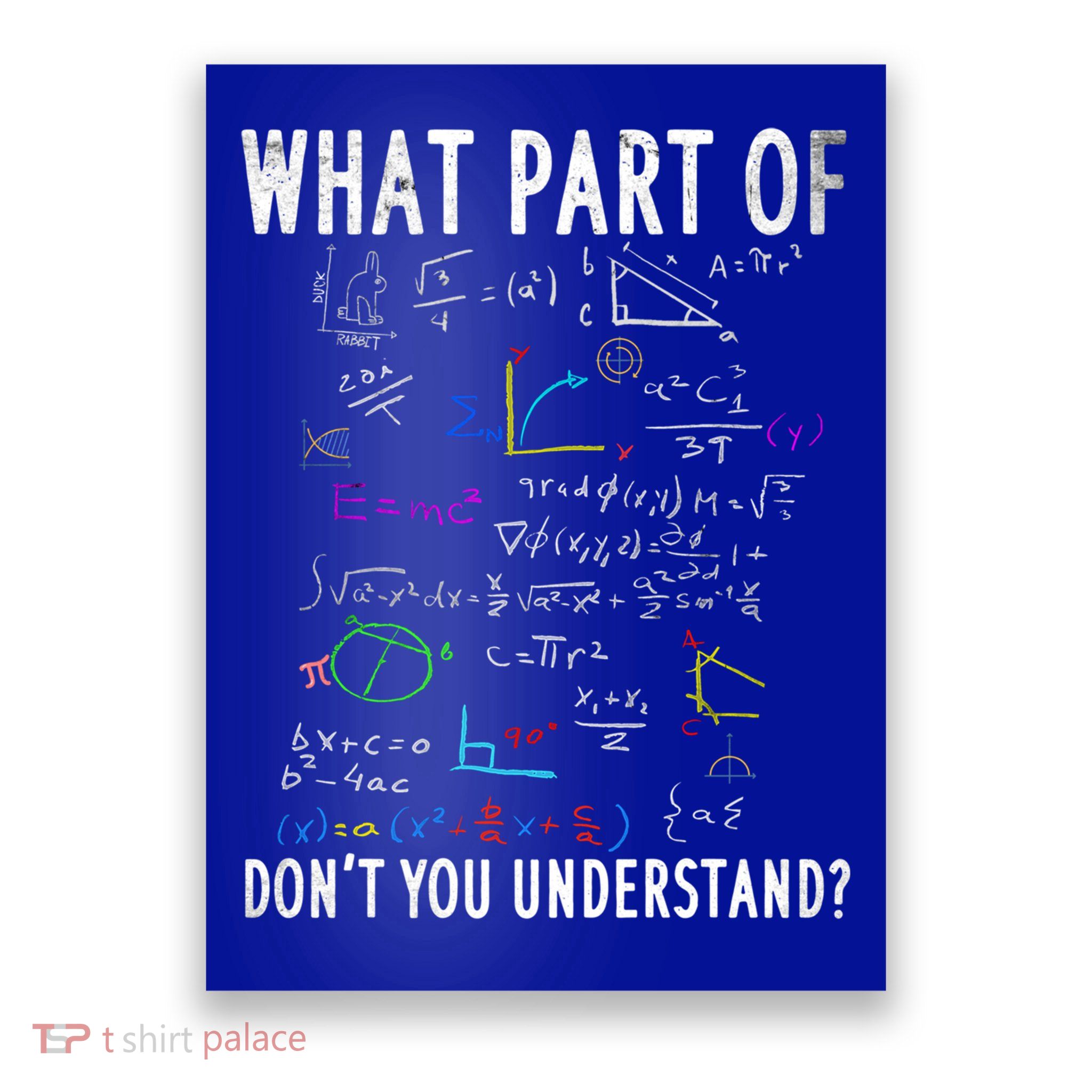 What Part Of Don't You Understand For Math Teacher Gift Poster