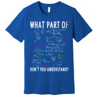 What Part Of Don't You Understand For Math Teacher Gift Premium T-Shirt