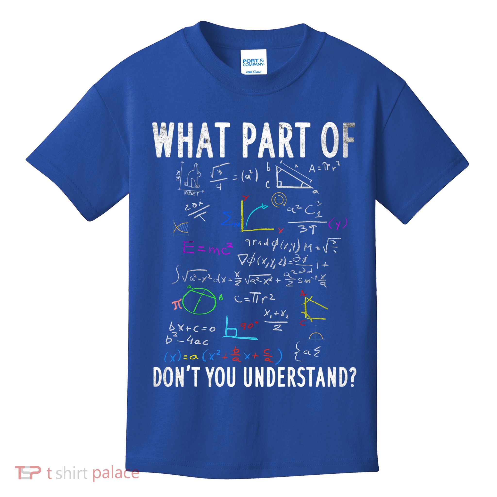 What Part Of Don't You Understand For Math Teacher Gift Kids T-Shirt