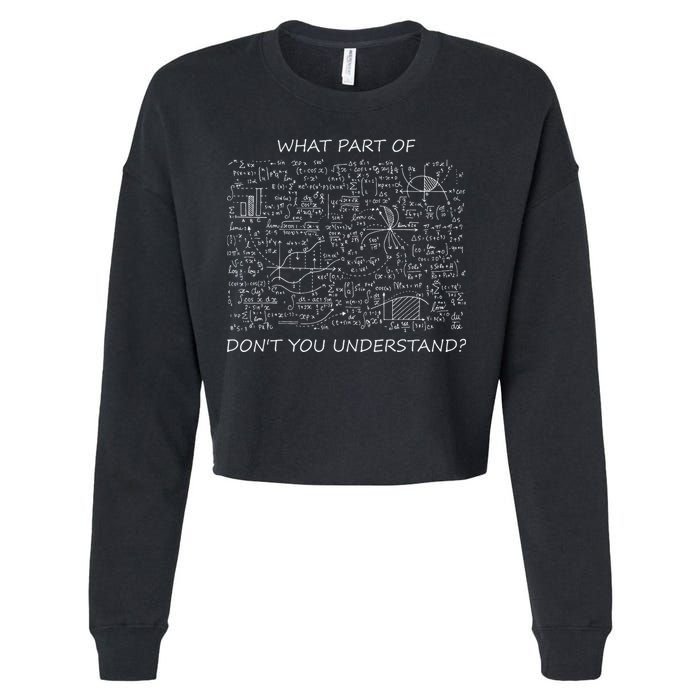 What Part Of Math Don't You Understand Cropped Pullover Crew