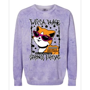 Wicca Phase Springs Eternal Cat Spells Write Checks Colorblast Crewneck Sweatshirt