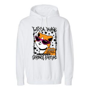 Wicca Phase Springs Eternal Cat Spells Write Checks Garment-Dyed Fleece Hoodie