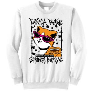 Wicca Phase Springs Eternal Cat Spells Write Checks Sweatshirt