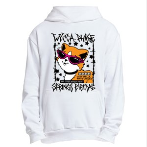 Wicca Phase Springs Eternal Cat Spells Write Checks Urban Pullover Hoodie