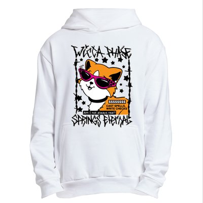 Wicca Phase Springs Eternal Cat Spells Write Checks Urban Pullover Hoodie