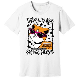 Wicca Phase Springs Eternal Cat Spells Write Checks Premium T-Shirt