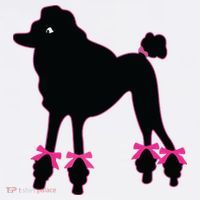 Womens Poodle Skirt 1950s Sock Hop Costume Record Hop Dance Tall T-Shirt
