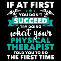 What Physical Therapist Told You Physical Theraphy PT Bag