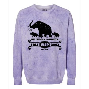 Widespread Panic Colorblast Crewneck Sweatshirt