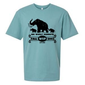 Widespread Panic Sueded Cloud Jersey T-Shirt