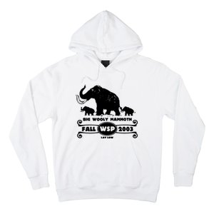 Widespread Panic Hoodie