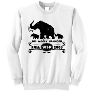 Widespread Panic Sweatshirt