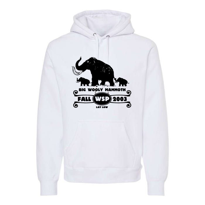 Widespread Panic Premium Hoodie