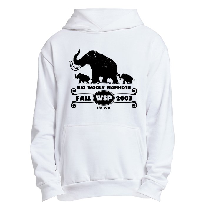 Widespread Panic Urban Pullover Hoodie