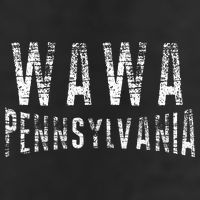 Wawa Pennsylvania Adult Drive Performance Visor