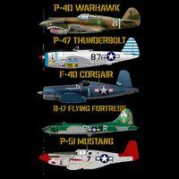 Ww2 Planes Warbirds Warplanes Button