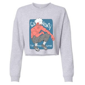 Wind Pillar Cropped Pullover Crew