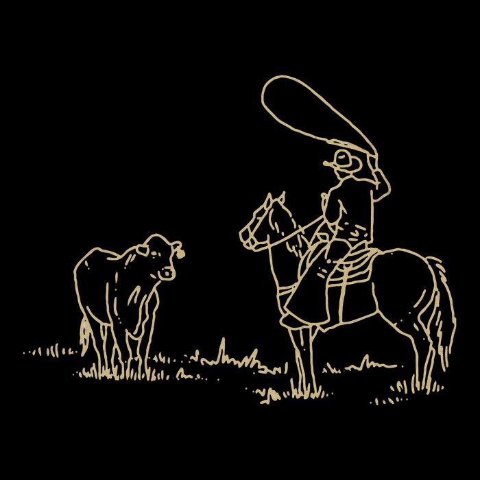 Western Rodeo Cowboy Roping Horse Riding 16 in Basic Backpack