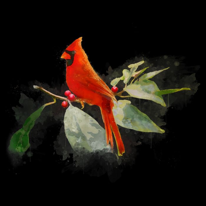 Wild Red Cardinal Bird Sustainable Beanie