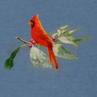 Wild Red Cardinal Bird Garment-Dyed Sweatshirt