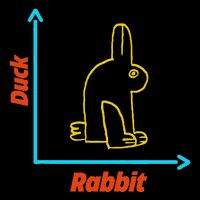 Wittgensteins Rabbit Duck Illusion Physics Nerd Math Geek Performance Long Sleeve Polo