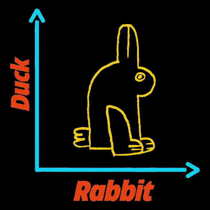 Wittgensteins Rabbit Duck Illusion Physics Nerd Math Geek Impact Tech Backpack