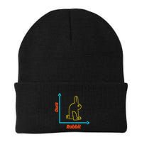 Wittgensteins Rabbit Duck Illusion Physics Nerd Math Geek Knit Cap Winter Beanie