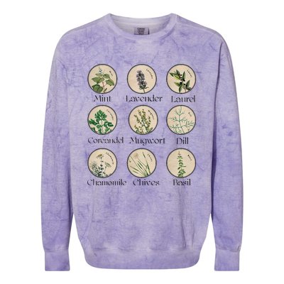 Women Right Equality Health Herbs Herbalist Plant Lover Colorblast Crewneck Sweatshirt