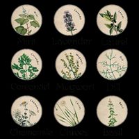 Women Right Equality Health Herbs Herbalist Plant Lover 16 in Basic Backpack