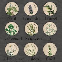 Women Right Equality Health Herbs Herbalist Plant Lover Vector Backpack