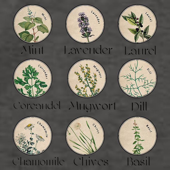 Women Right Equality Health Herbs Herbalist Plant Lover Vector Backpack