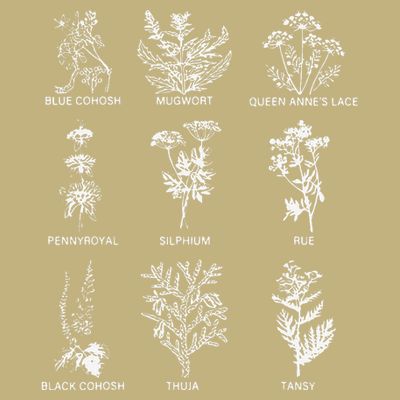 Women Right Equality Health Herbs Herbalist Plant Lover T-Shirt