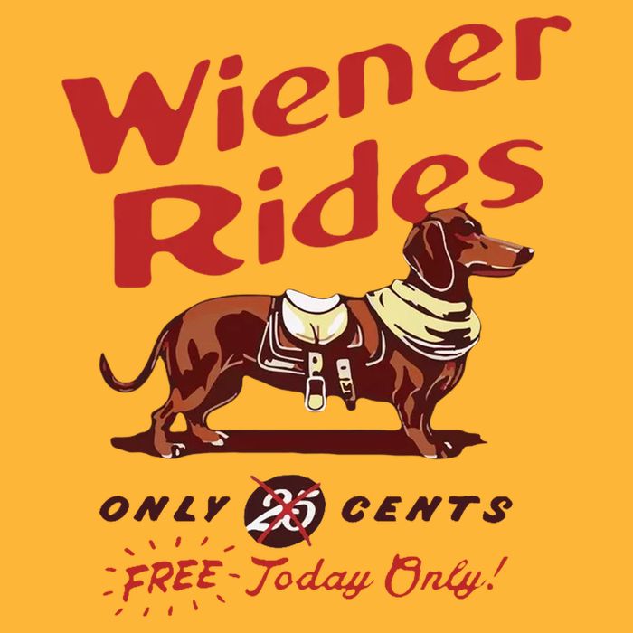 Wiener Rides Free Today Only Funny Wiener Dog Sustainable Knit Beanie