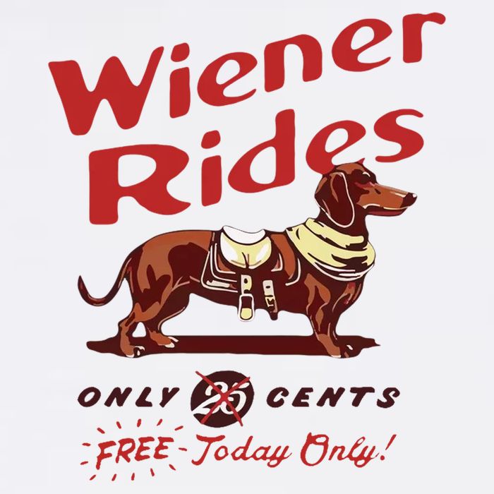 Wiener Rides Free Today Only Funny Wiener Dog Trucker Hat