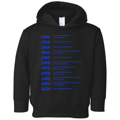Women Rights Gained By Date Motivation Toddler Hoodie