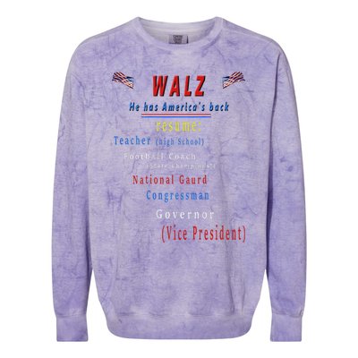 Walz Resume Kamala Harris President Funny Unique Special Colorblast Crewneck Sweatshirt