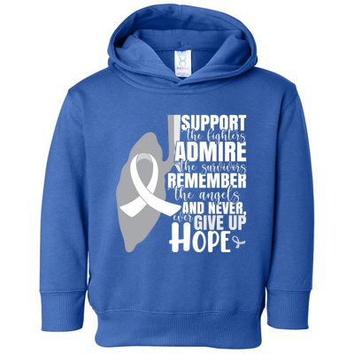 White Ribbon Lung Cancer Warrior Gift Toddler Hoodie