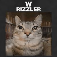 W Rizzler Meme Cat Meme Internet Memes Funny Meme Rizz Genz 11oz C Handle Ceramic Mug