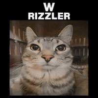 W Rizzler Meme Cat Meme Internet Memes Funny Meme Rizz Genz Toddler T-Shirt