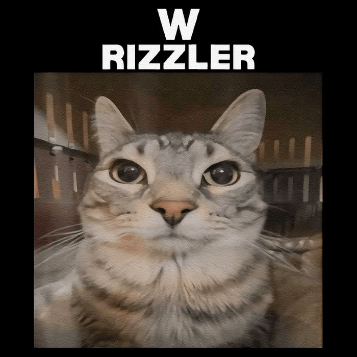 W Rizzler Meme Cat Meme Internet Memes Funny Meme Rizz Genz Toddler T-Shirt