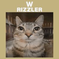 W Rizzler Meme Cat Meme Internet Memes Funny Meme Rizz Genz Button