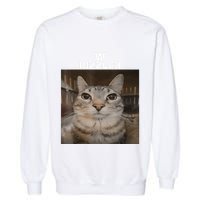 W Rizzler Meme Cat Meme Internet Memes Funny Meme Rizz Genz Garment-Dyed Sweatshirt