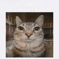 W Rizzler Meme Cat Meme Internet Memes Funny Meme Rizz Genz Garment-Dyed Sweatshirt