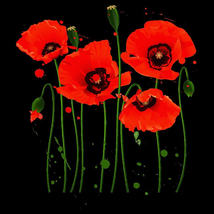 Watercolor Red Poppy Flower Gardening Plants Lover Gift Button