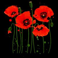 Watercolor Red Poppy Flower Gardening Plants Lover Gift Poster