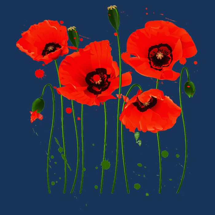 Watercolor Red Poppy Flower Gardening Plants Lover Gift Infant Baby Jersey Bodysuit