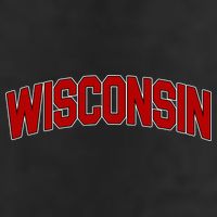 Wisconsin Retro State Adult Drive Performance Visor