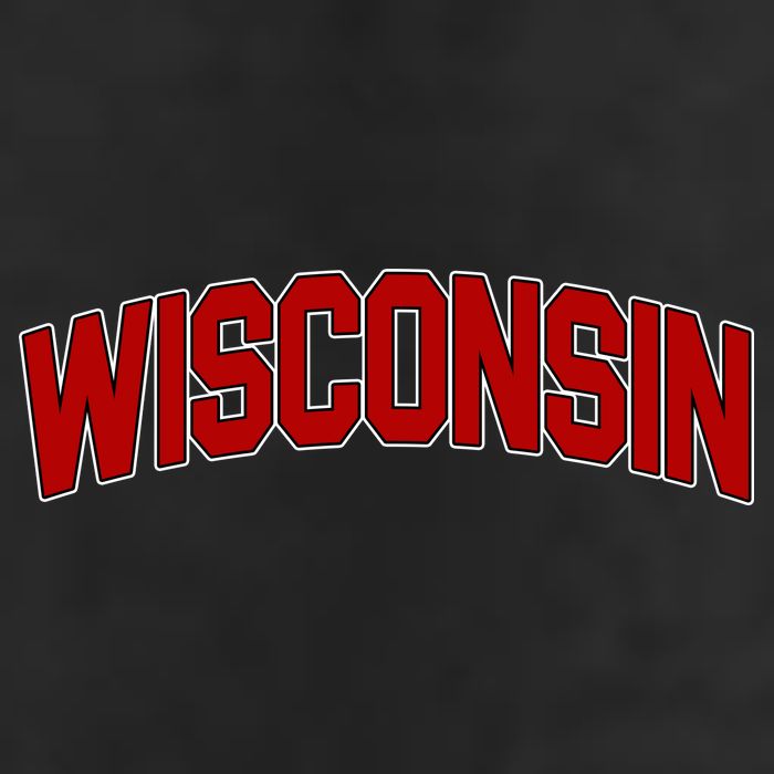 Wisconsin Retro State Adult Drive Performance Visor